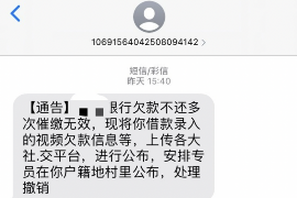 太康太康的要账公司在催收过程中的策略和技巧有哪些？